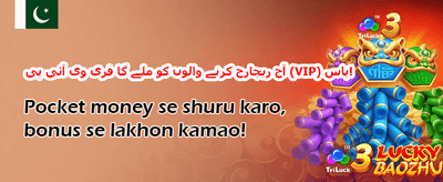 ڈیلی اسپن وہیل promotion